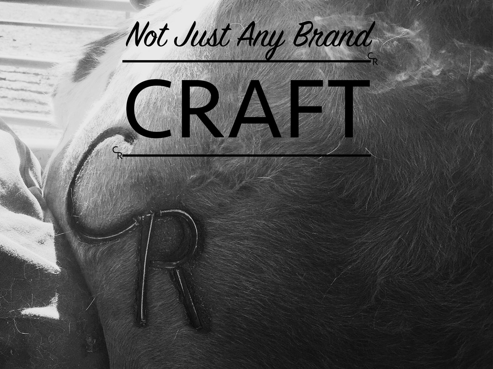 Craft Ranch Slider Image 1